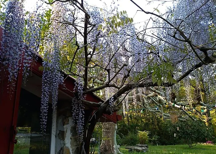 Appartement En En Sud Ouest Saint-Martin-de-Hinx